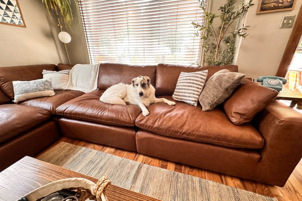 Cheap Sofa Beds That Don’t Compromise on Comfort