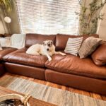 Cheap Sofa Beds That Don’t Compromise on Comfort